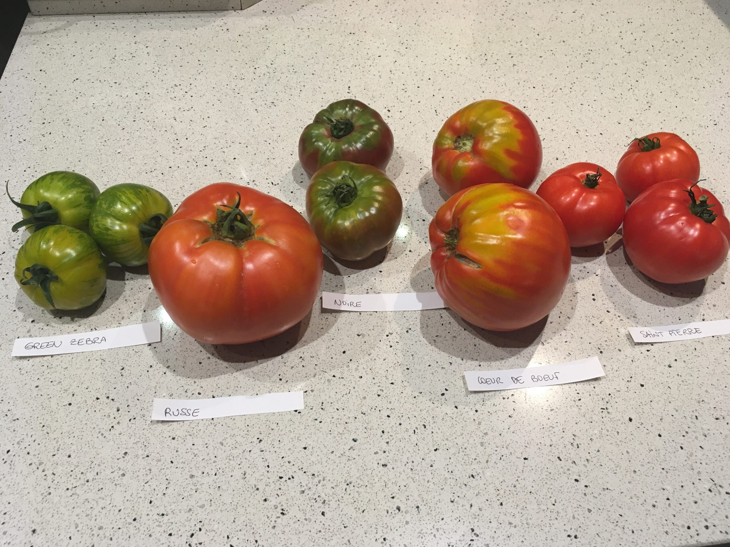 Nos tomates
