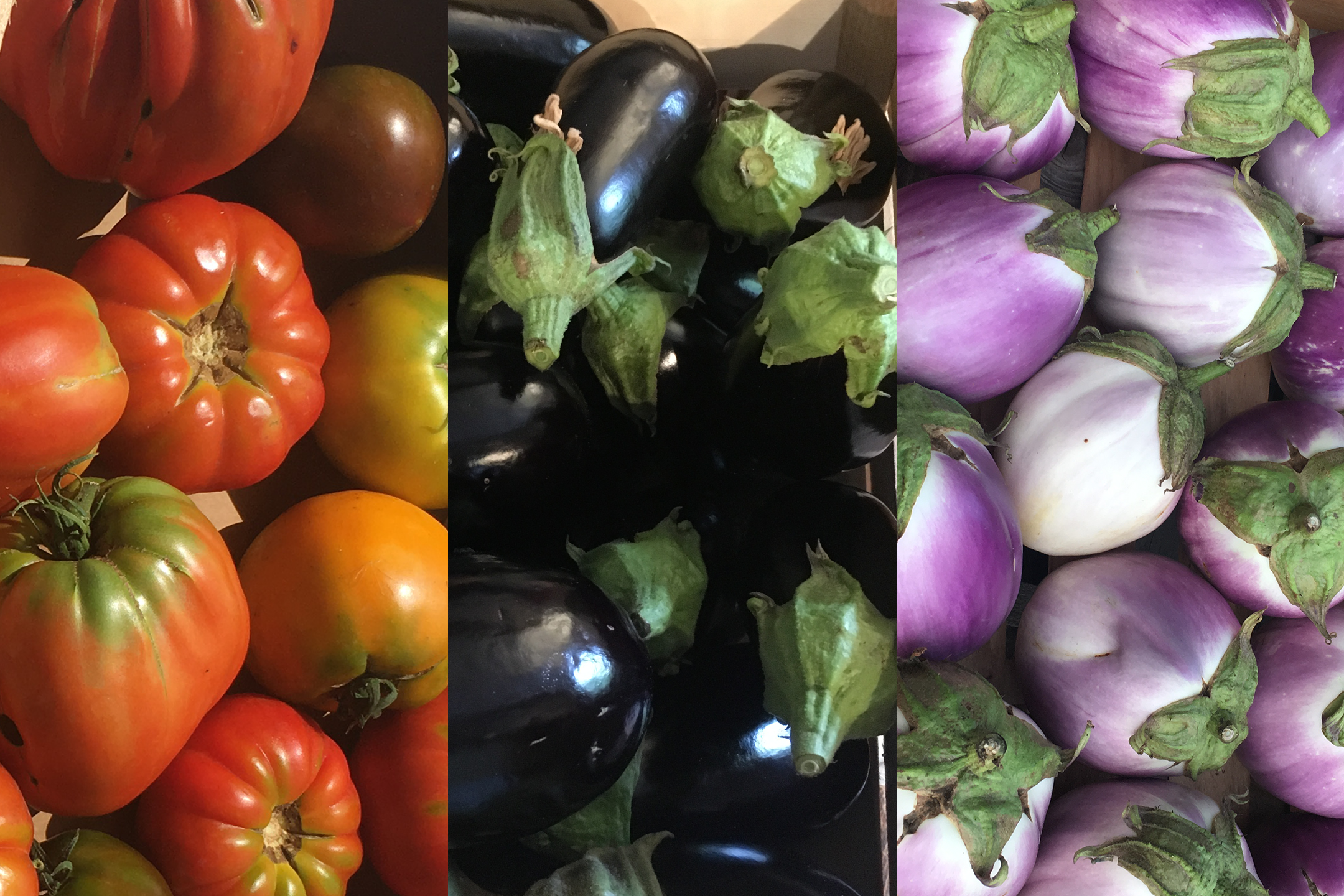 Tomates / Aubergines
