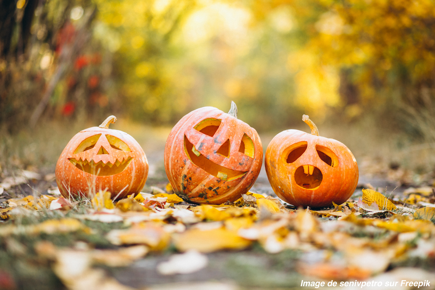 🎃 Halloween !