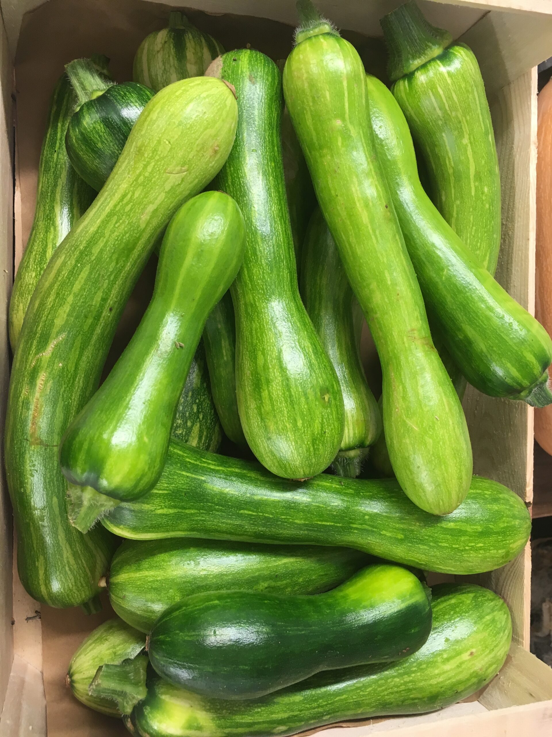 Le retour des courgettes 🙂