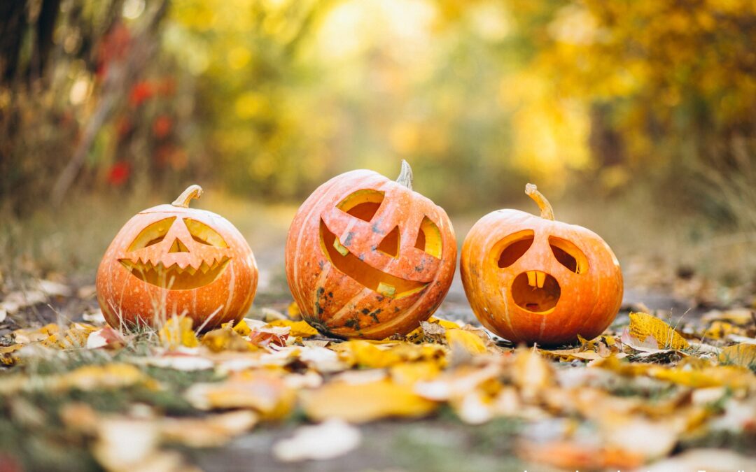 Halloween 🎃