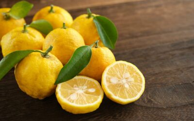 🍋 À LA DÉCOUVERTE DU YUZU BIO !