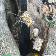 Huile d'olive (200 ou 500 ml)